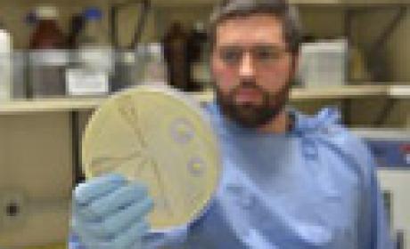 Uma vez que as superbactérias são resistentes aos medicamentos mais modernos, os médicos precisam recorrer a drogas que estavam em desuso por serem tóxicas para o organismo (Foto: IOC) Foto de pesquisador trabalhando