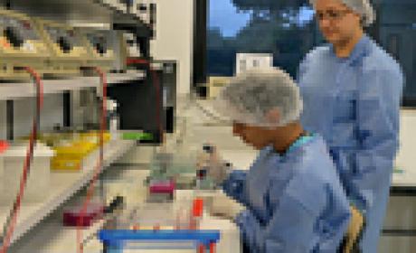 Métodos moleculares e ferramentas estatísticas foram usados para identificar a associação entre o gene HLA-B*52 e a ausência de sinais e sintomas da Aids em pacientes Imagem de dois pesquisadores em laboratório manuseando materiais de pesquisa. Imagem: Gutemberg Brito.