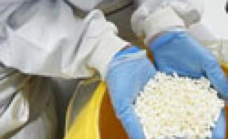 Foto: Alexandre Matos Diversos comprimidos na mão de um farmacêutico