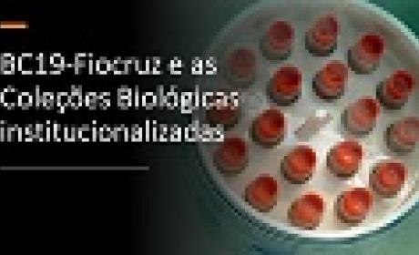 Confira o vídeo de apresentação do BC19-Fiocruz e as Coleções Biológicas institucionalizadas Confira o vídeo de apresentação do BC19-Fiocruz e as Coleções Biológicas institucionalizadas