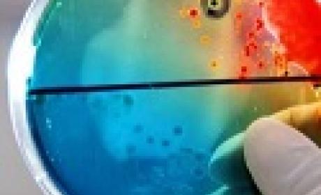 Coleções Biológicas têm série especial no Instagram Coleções Biológicas têm série especial no Instagram