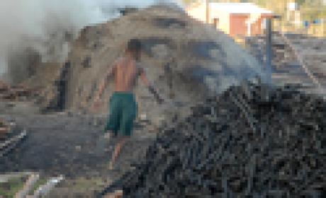 Imagem de uma criança trabalhando na produção de carvão
