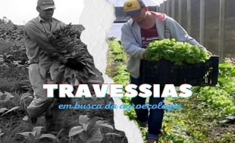 Imagem: Divulgação Travessias