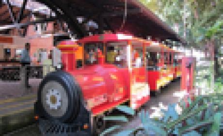 O trenzinho já carregou cerca de 600 mil pessoas desde 1999 (Foto: COC) Foto do Trem da Ciência