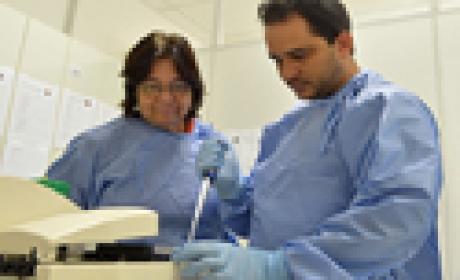 Medicamento para dengue poderá vir de plantas medicinais populares. Foto: Gutemberg Brito Foto de pesquisadores em laboratório