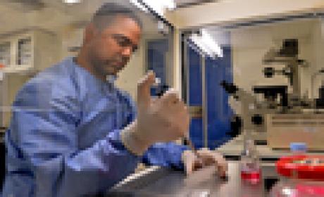 O Leishmania braziliensis é o principal agente causador da forma cutânea da leishmaniose no Brasil e nas Américas (Foto: Gutemberg Brito) Foto de pesquisador trabalhando