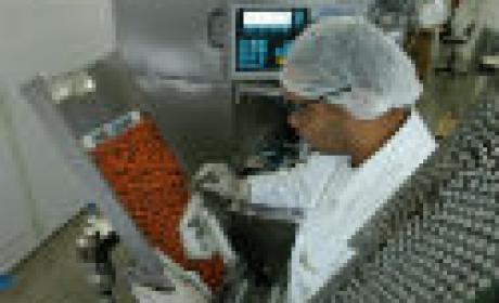 Foto: Peter Ilicciev Produção de vacinas em laboratório
