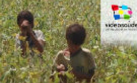 Imagem: divulgação Crianças em uma plantação
