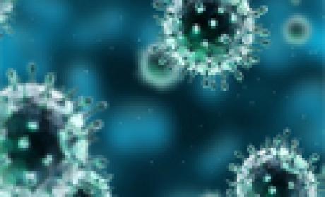 Laboratório de Vírus Respiratórios, Exantemáticos, Enterovírus e Emergências Virais do IOC desempenha papel estratégico de vigilância em influenza junto à OMS (Imagem: IOC) Vírus H1N1 visto pelo microscópio