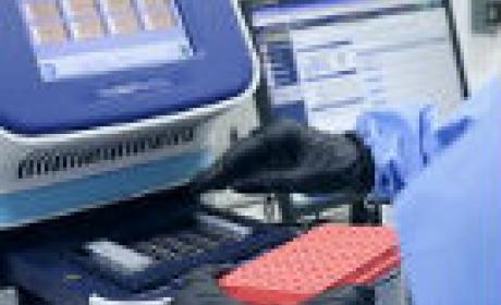 Imagem: IOC Pesquisador no laboratório