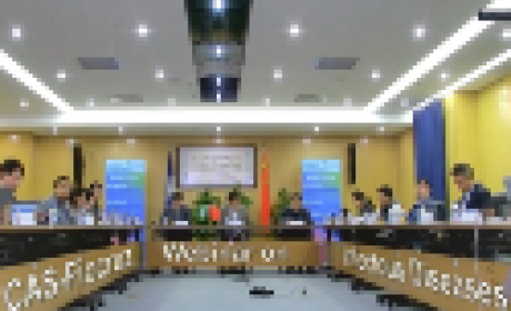 Foto: China Xinhua News Participantes do evento