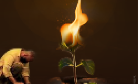 Homem plantando uma semente ao lado de uma flor pegando fogo