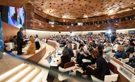 plenária da assembleia mundial de saude