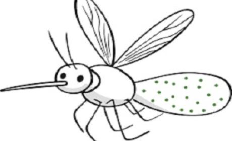 Desenho do aedes aegypti