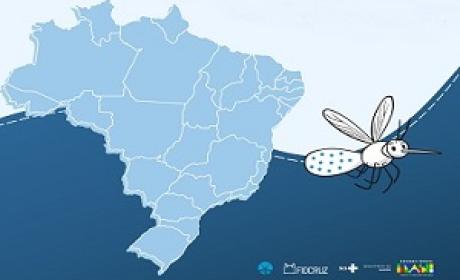 Mapa do Brasil e mosquito sobrevoando