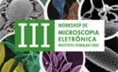 Promovida pelo Instituto Oswaldo Cruz (IOC/Fiocruz), a atividade será realizada entre os dias 5 e 12 de julho (Imagem: divulgação) Terceiro workshop de microscopia eletrônica
