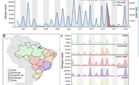 Imagem: Divulgação