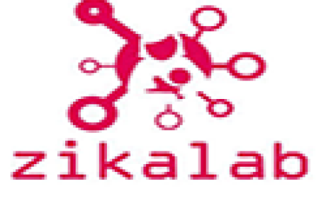 Imagem: Ipads zikalab