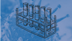 Fluid images