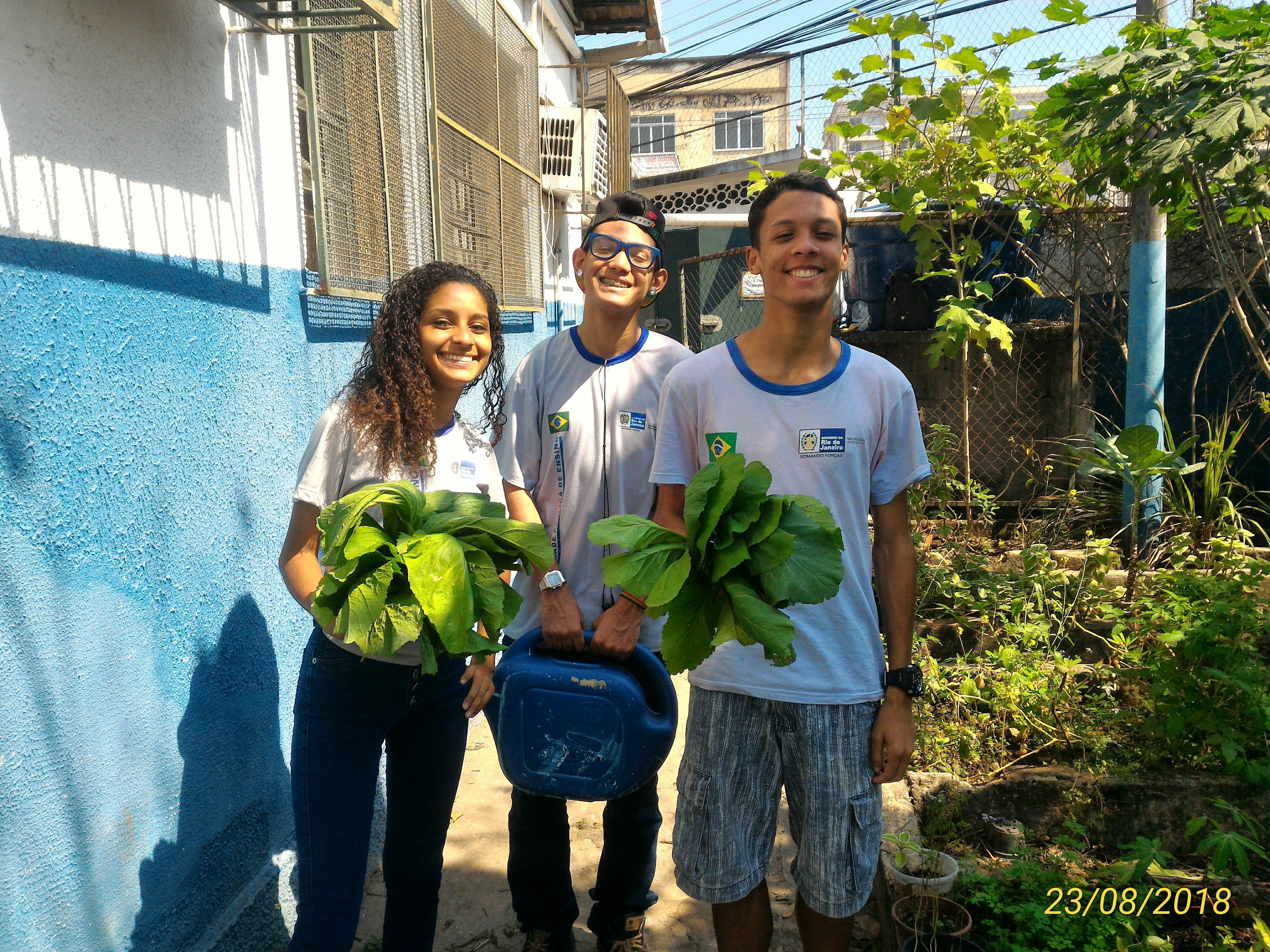 A horta é um sucesso entre os estudantes