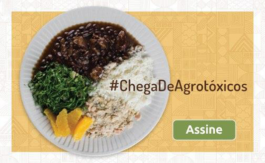 Prato com feijão, arroz, farofa, laranja e couve