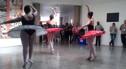 Foto: Penélope Toledo (INCQS/Fiocruz)