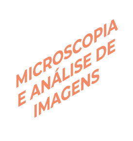 microscopia e análise de imagens