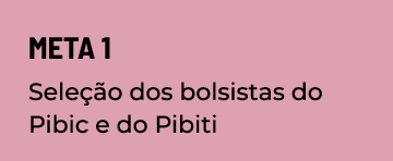 Meta 1 Seleção dos bolsistas do Pibic e do Pibiti