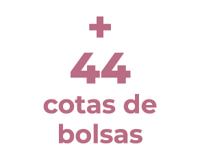 + 44 cotas de bolsas